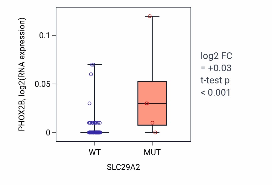 Box plot of PHOX2B in SLC29A2-low vs SLC29A2-high samples in LARGE_INTESTINE.