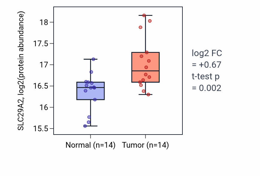 Tumor-vs-normal mass-spec protein box plot for SLC29A2 in LSCC.