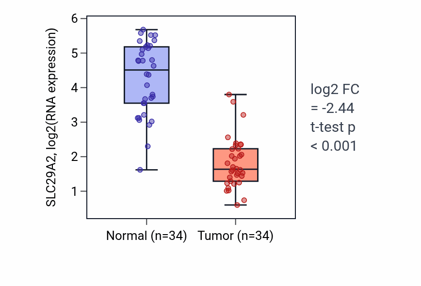 Tumor-vs-normal expression box plot for SLC29A2 RNA in KIRC.