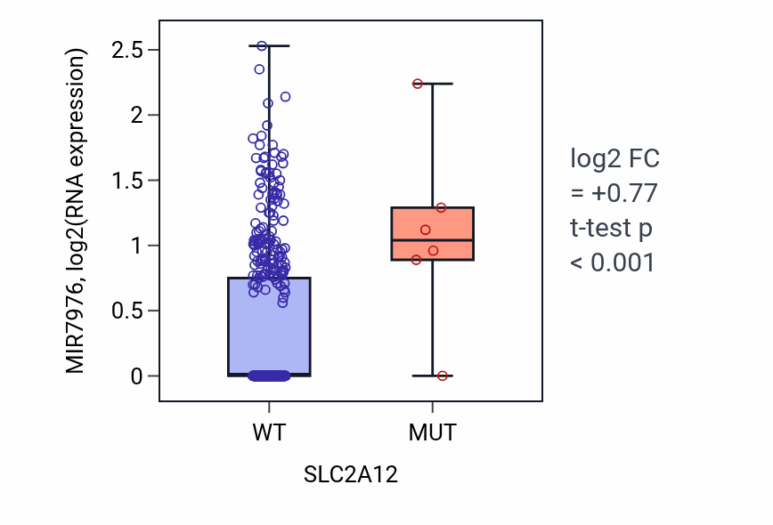 Box plot of MIR7976 in SLC2A12-low vs SLC2A12-high samples in LUSC.