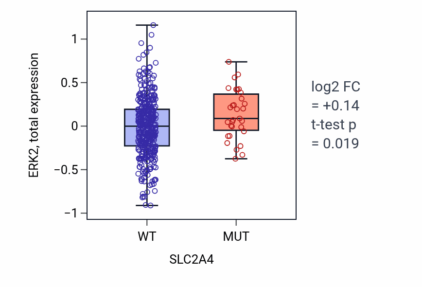 Box plot of ERK2 in SLC2A4-low vs SLC2A4-high samples in UCEC.