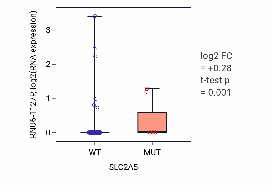 Box plot of RNU6-1127P in SLC2A5-low vs SLC2A5-high samples in COAD.