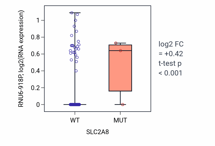 Box plot of RNU6-918P in SLC2A8-low vs SLC2A8-high samples in PRAD.