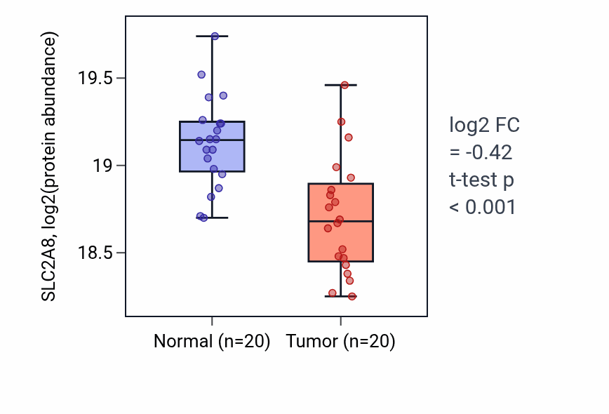 Tumor-vs-normal mass-spec protein box plot for SLC2A8 in LSCC.