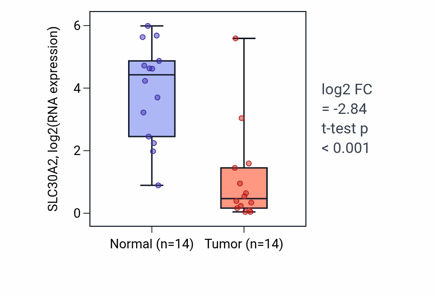 Tumor-vs-normal expression box plot for SLC30A2 RNA in KIRC.