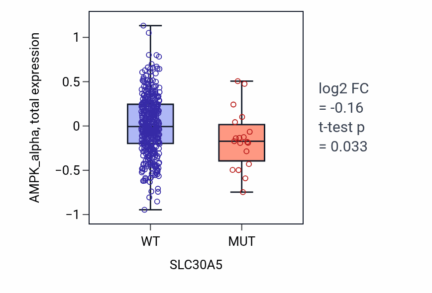 Box plot of AMPK_alpha in SLC30A5-low vs SLC30A5-high samples in UCEC.