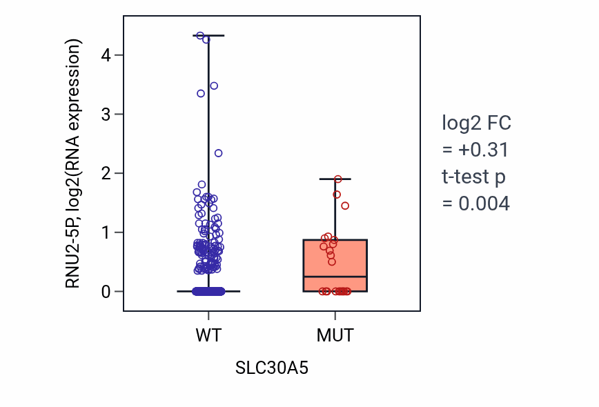 Box plot of RNU2-5P in SLC30A5-low vs SLC30A5-high samples in UCEC.