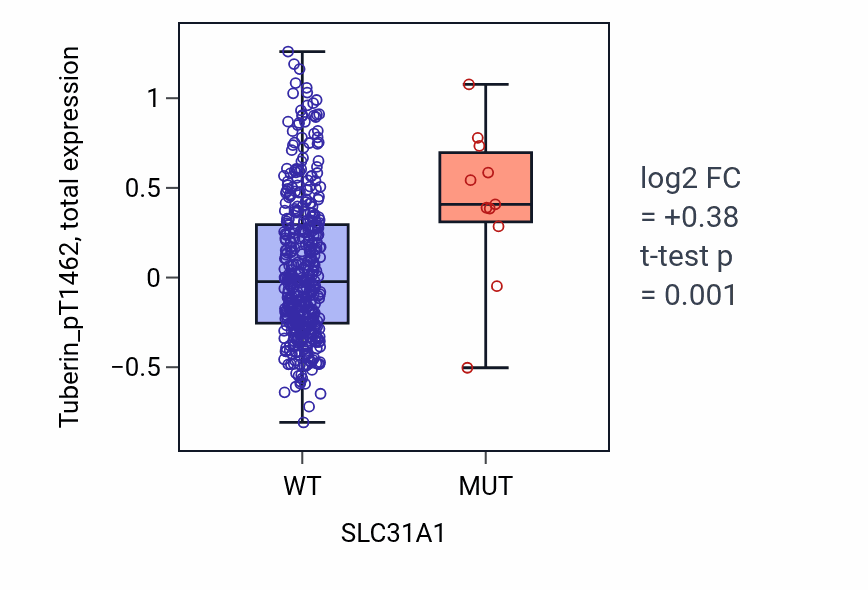 Box plot of Tuberin_pT1462 in SLC31A1-low vs SLC31A1-high samples in UCEC.