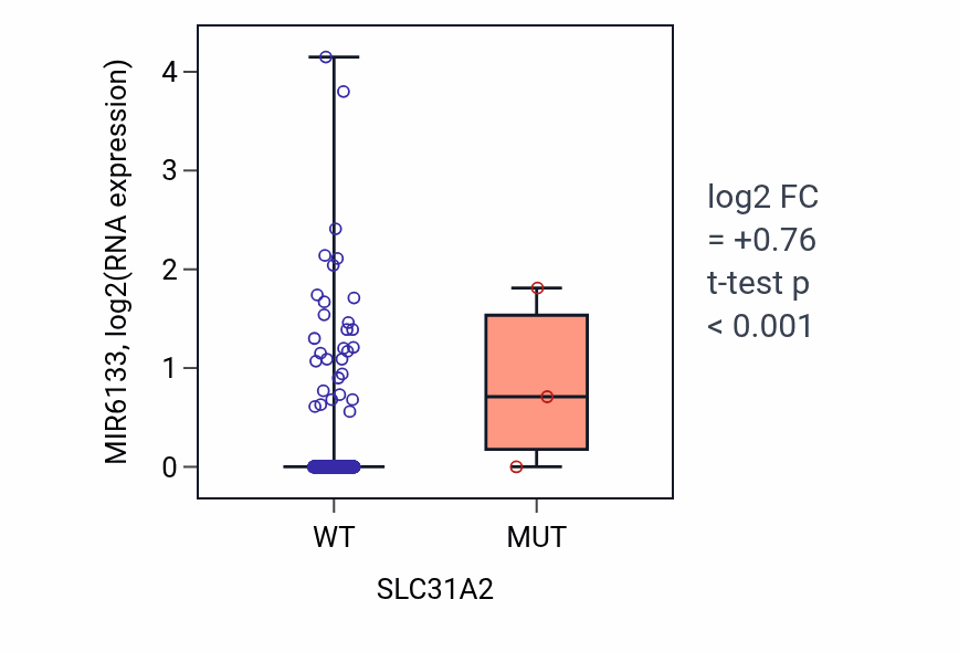 Box plot of MIR6133 in SLC31A2-low vs SLC31A2-high samples in UCEC.