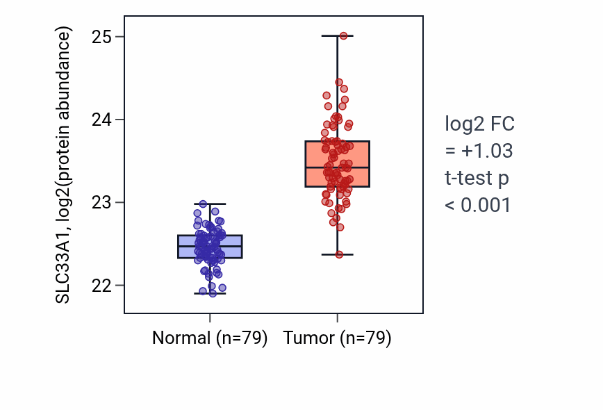 Tumor-vs-normal mass-spec protein box plot for SLC33A1 in LSCC.