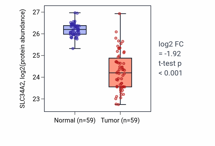 Tumor-vs-normal mass-spec protein box plot for SLC34A2 in LSCC.