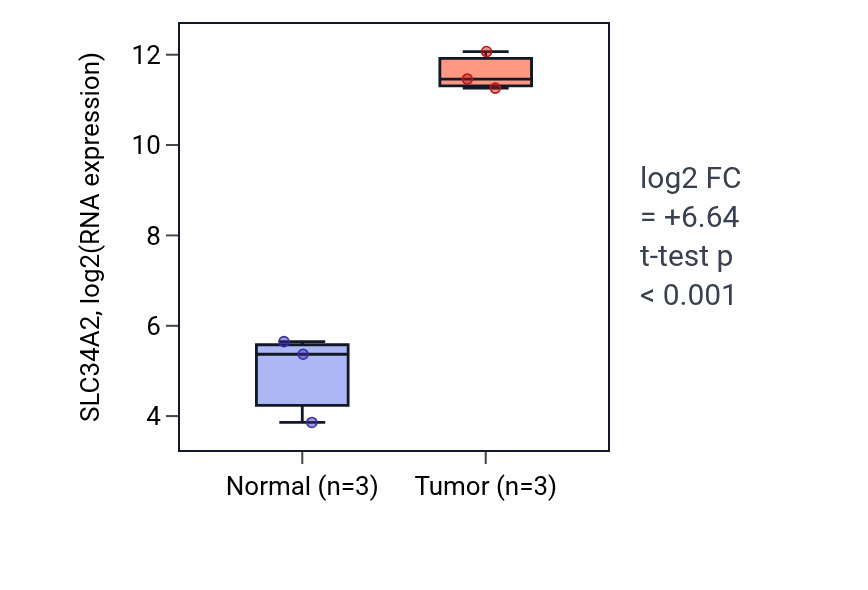 Tumor-vs-normal expression box plot for SLC34A2 RNA in THCA.