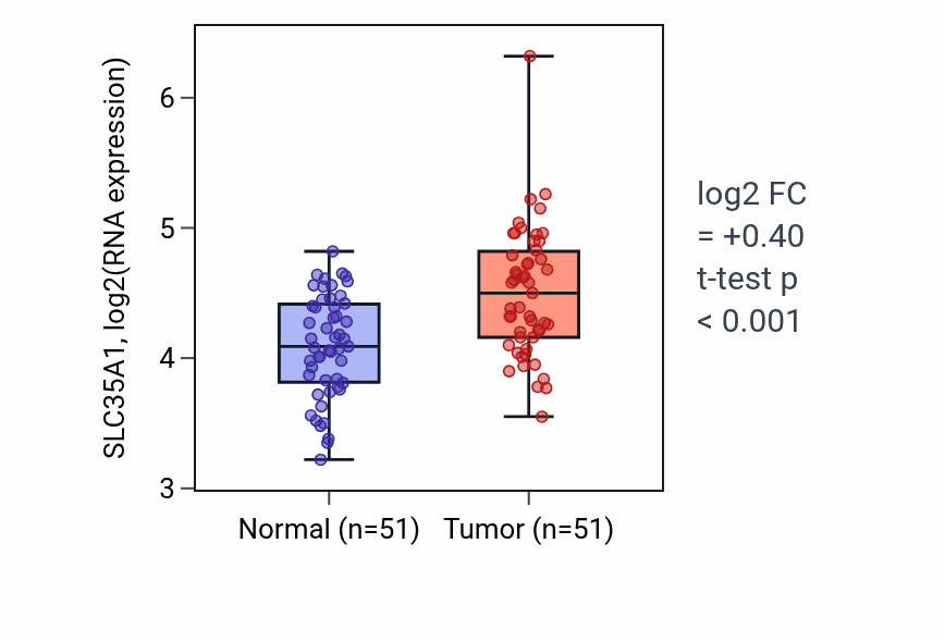 Tumor-vs-normal expression box plot for SLC35A1 RNA in KIRC.