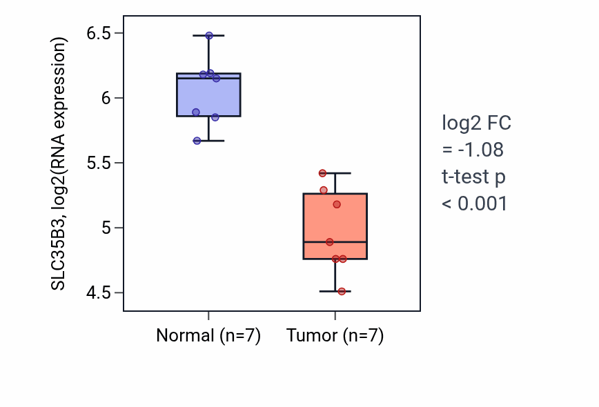 Tumor-vs-normal expression box plot for SLC35B3 RNA in THCA.