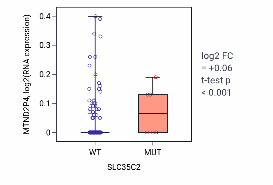 Box plot of MTND2P4 in SLC35C2-low vs SLC35C2-high samples in LUAD.