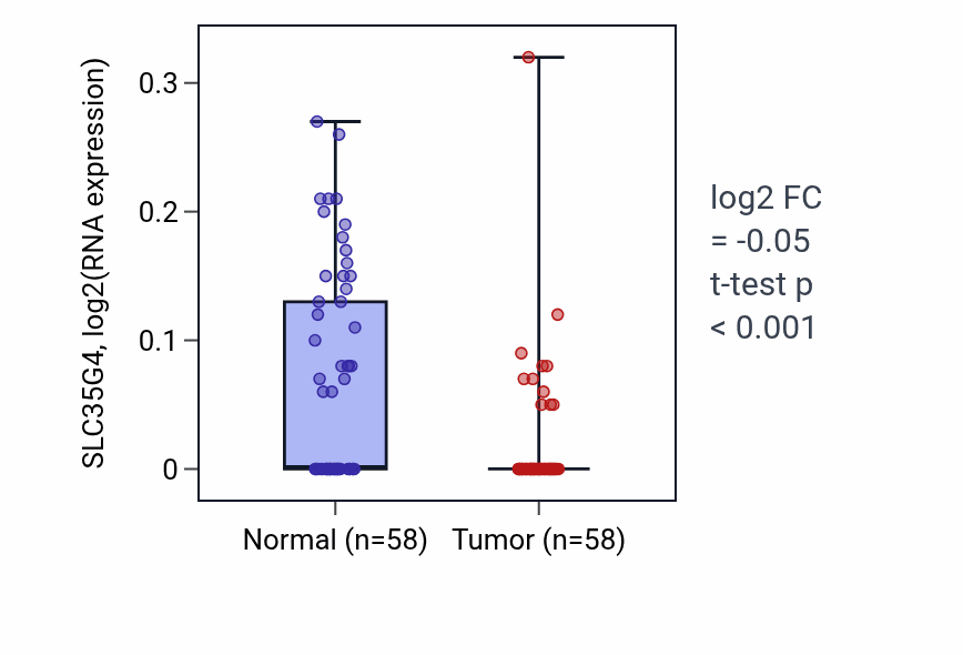 Tumor-vs-normal expression box plot for SLC35G4 in THCA.
