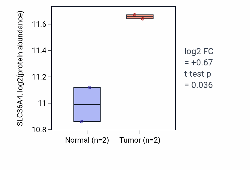 Tumor-vs-normal mass-spec protein box plot for SLC36A4 in HNSC.