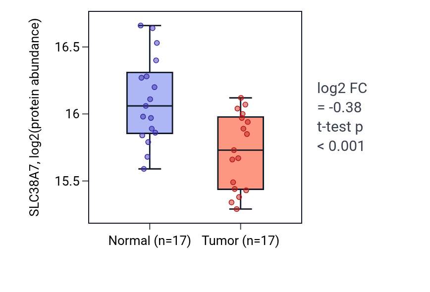 Tumor-vs-normal mass-spec protein box plot for SLC38A7 in LSCC.