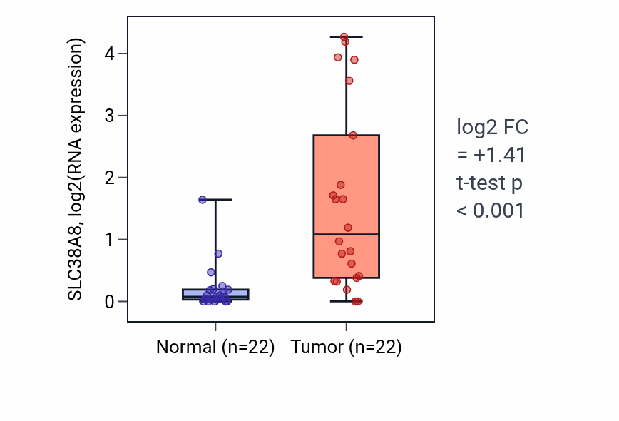 Tumor-vs-normal expression box plot for SLC38A8 in KICH.