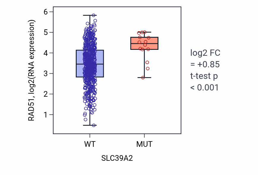 Box plot of RAD51 in SLC39A2-low vs SLC39A2-high samples in UCEC.
