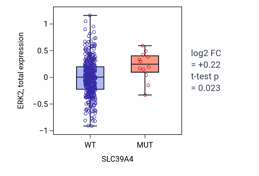 Box plot of ERK2 in SLC39A4-low vs SLC39A4-high samples in UCEC.