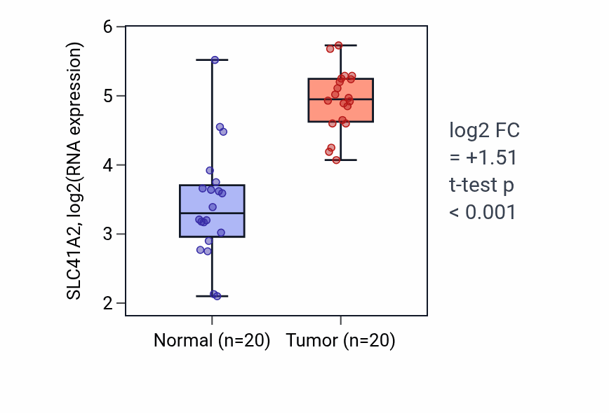 Tumor-vs-normal expression box plot for SLC41A2 RNA in KIRC.