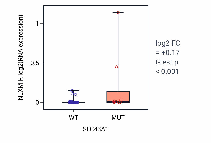 Box plot of NEXMIF in SLC43A1-low vs SLC43A1-high samples in LARGE_INTESTINE.