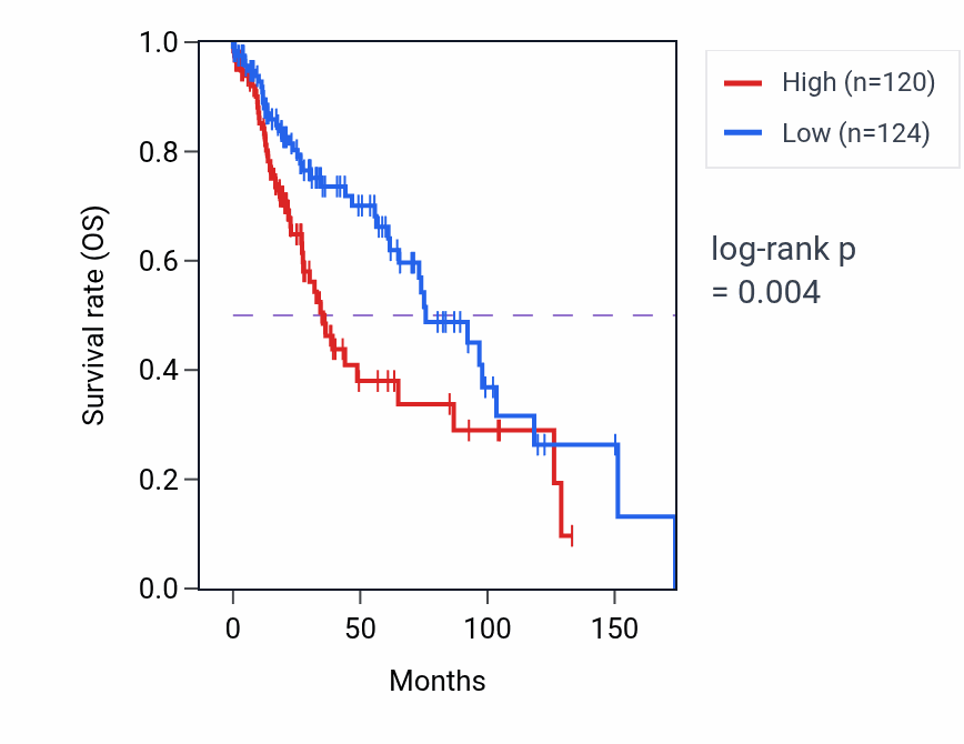 Kaplan&ndash;Meier survival curve for SLC43A2 RNA-high vs -low samples in LUSC.