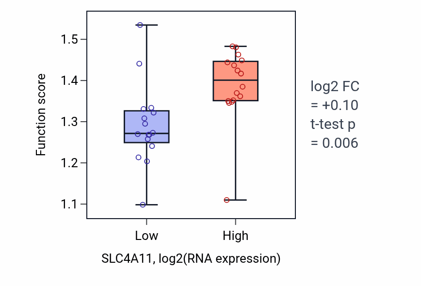 Box plot of Positive regulation of protein localization to endoplasmic reticulum in SLC4A11-low vs SLC4A11-high samples in OESOPHAGUS.