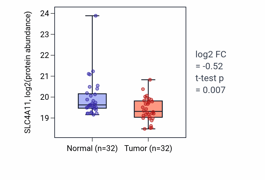 Tumor-vs-normal mass-spec protein box plot for SLC4A11 in HNSC.