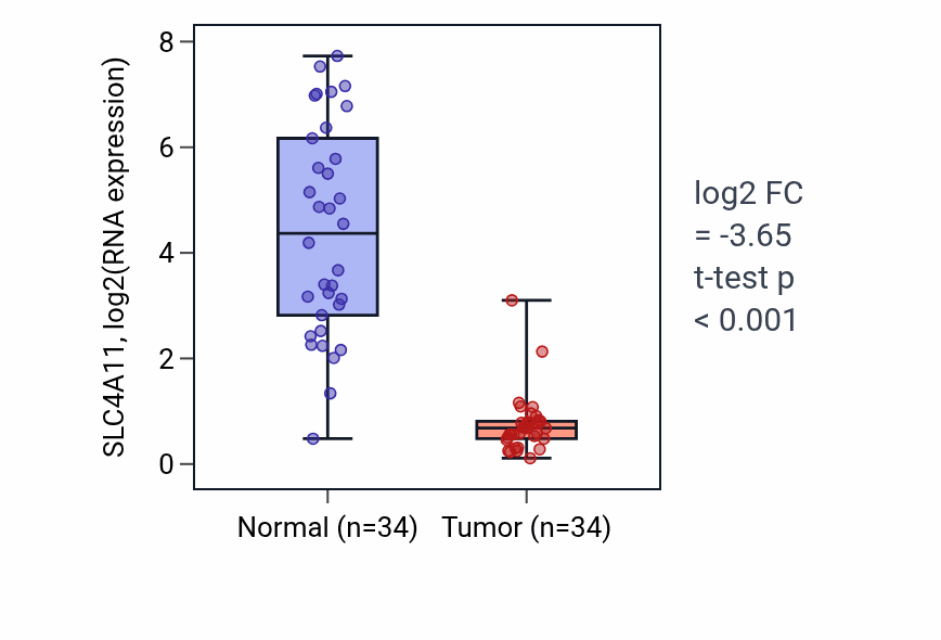 Tumor-vs-normal expression box plot for SLC4A11 RNA in KIRC.