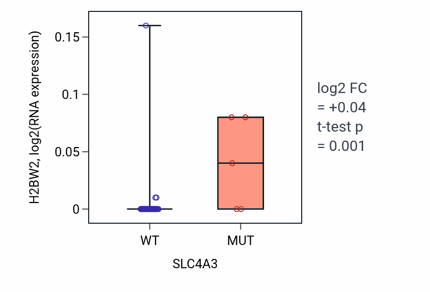 Box plot of H2BW2 in SLC4A3-low vs SLC4A3-high samples in BREAST.