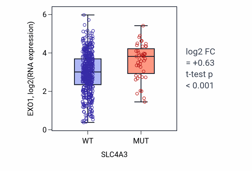 Box plot of EXO1 in SLC4A3-low vs SLC4A3-high samples in UCEC.