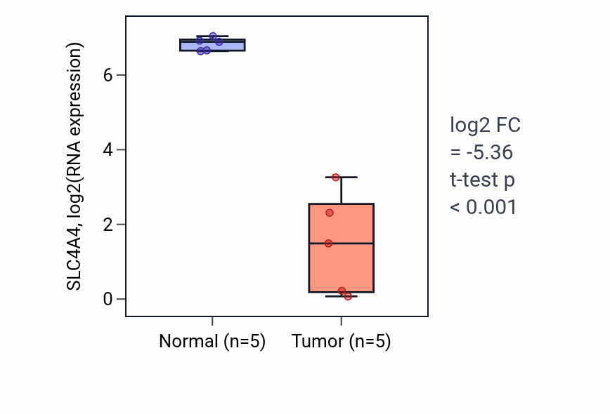 Tumor-vs-normal expression box plot for SLC4A4 RNA in COAD.