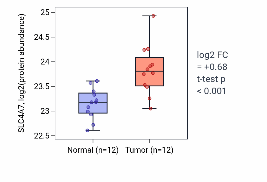 Tumor-vs-normal mass-spec protein box plot for SLC4A7 in CCRCC.