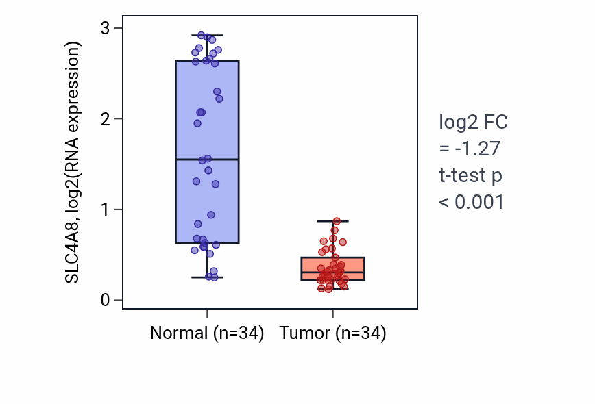 Tumor-vs-normal expression box plot for SLC4A8 RNA in KIRC.