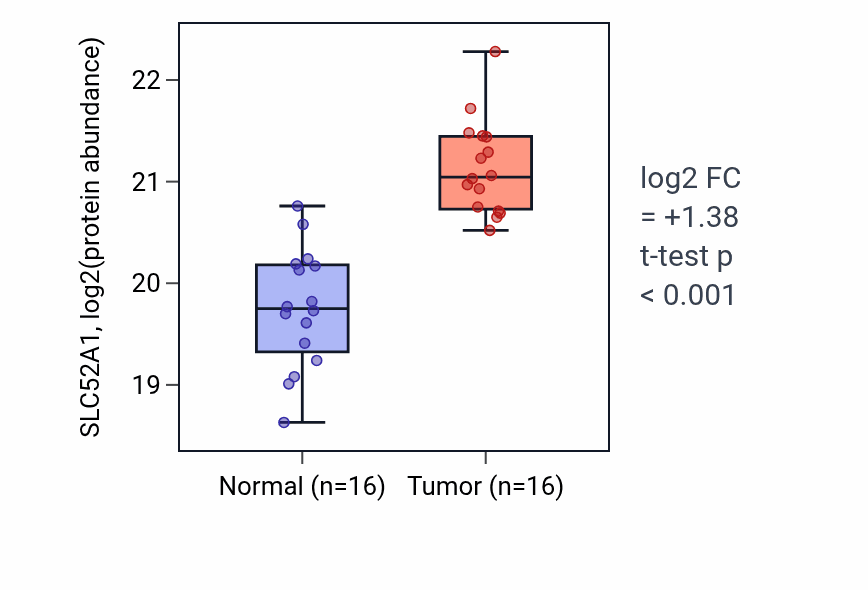 Tumor-vs-normal mass-spec protein box plot for SLC52A1 in LSCC.