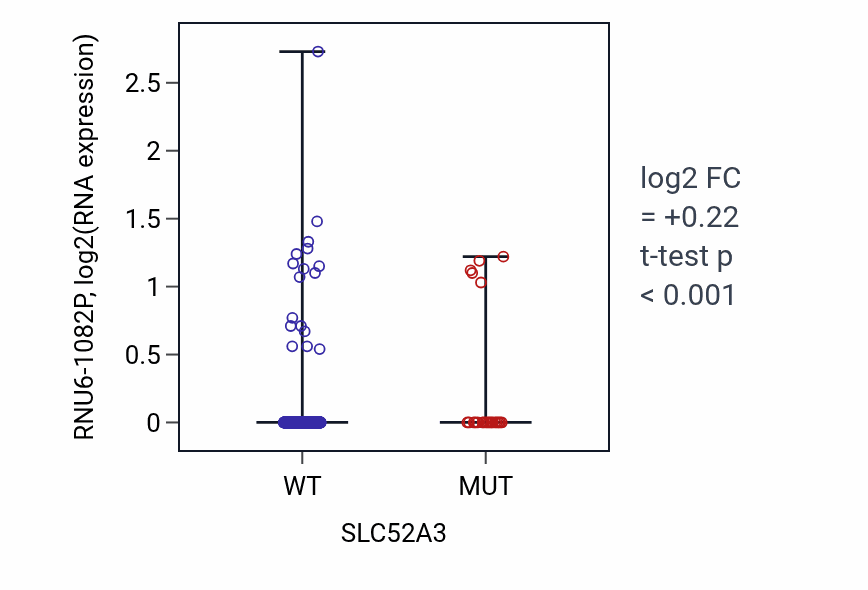 Box plot of RNU6-1082P in SLC52A3-low vs SLC52A3-high samples in UCEC.