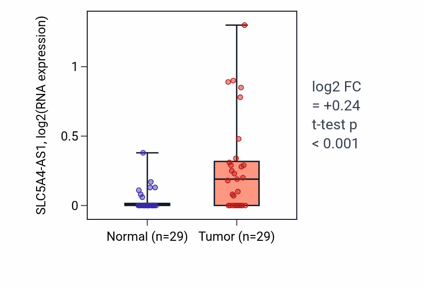Tumor-vs-normal expression box plot for SLC5A4-AS1 in HNSC.