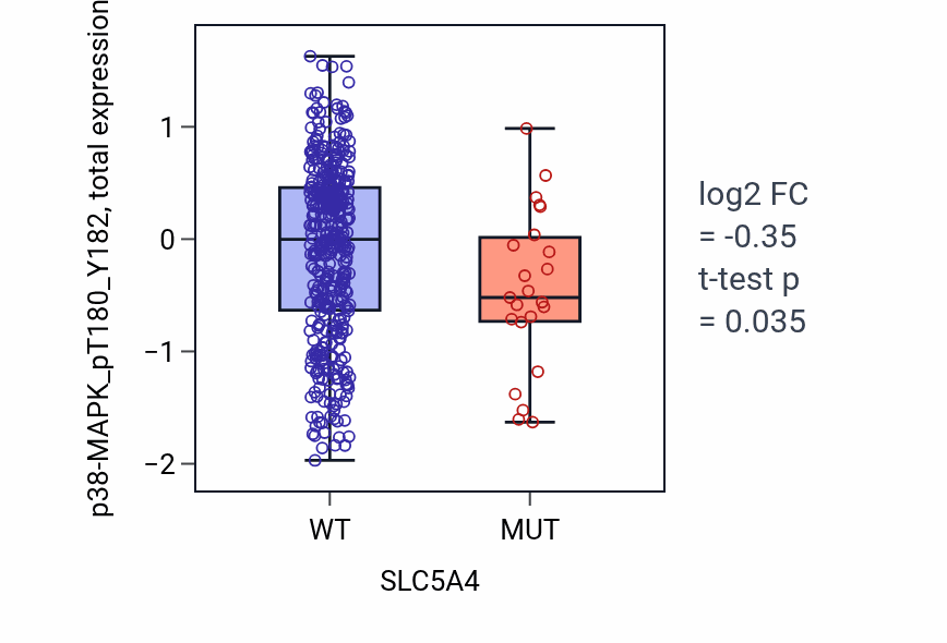 Box plot of p38-MAPK_pT180_Y182 in SLC5A4-low vs SLC5A4-high samples in UCEC.