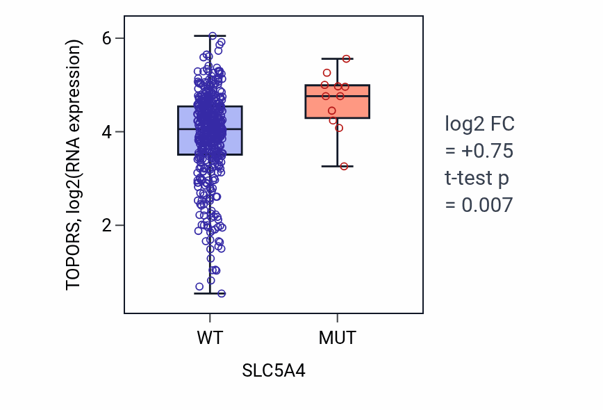 Box plot of TOPORS in SLC5A4-low vs SLC5A4-high samples in SKCM.