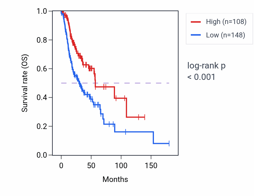 Kaplan&ndash;Meier survival curve for SLC5A8 RNA expression in HNSC: high vs low expression groups.