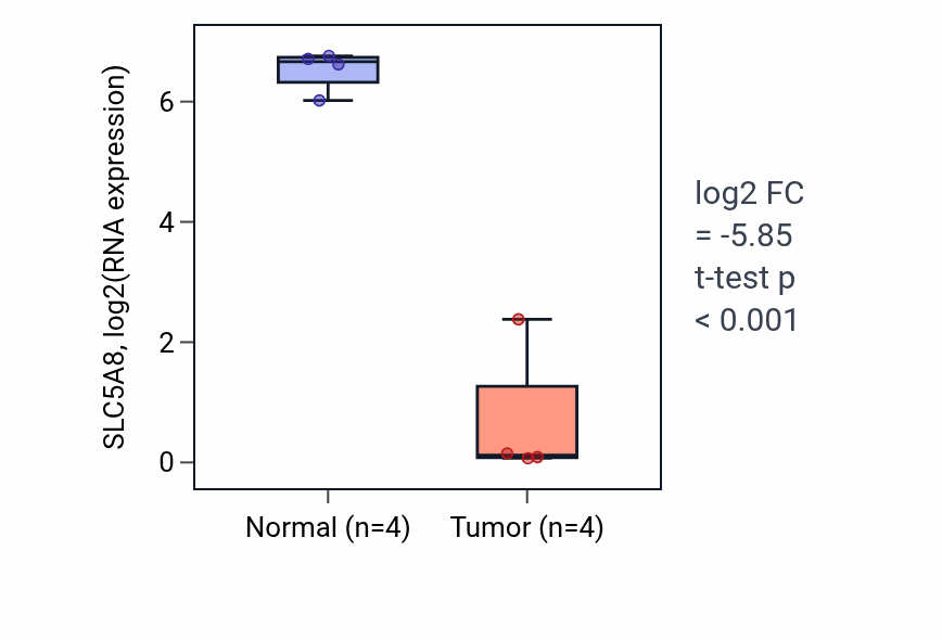 Tumor-vs-normal expression box plot for SLC5A8 in THCA.