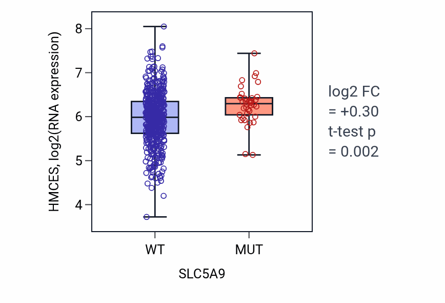 Box plot of HMCES in SLC5A9-low vs SLC5A9-high samples in UCEC.