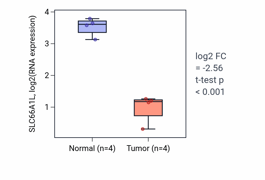 Tumor-vs-normal expression box plot for SLC66A1L in THCA.