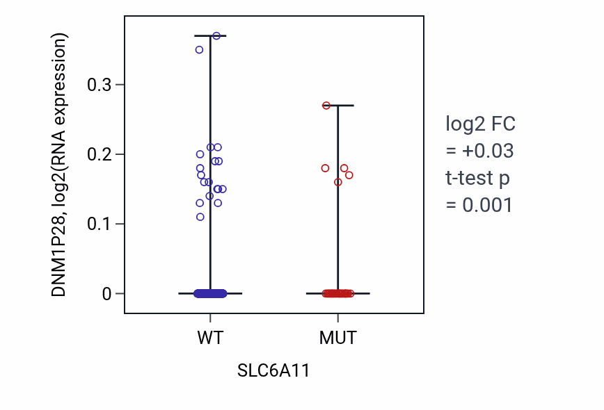Box plot of DNM1P28 in SLC6A11-low vs SLC6A11-high samples in SKCM.