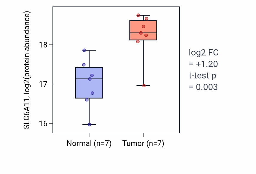Tumor-vs-normal mass-spec protein box plot for SLC6A11 in HNSC.