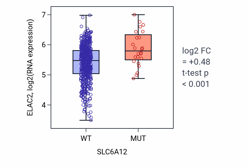 Box plot of ELAC2 in SLC6A12-low vs SLC6A12-high samples in UCEC.