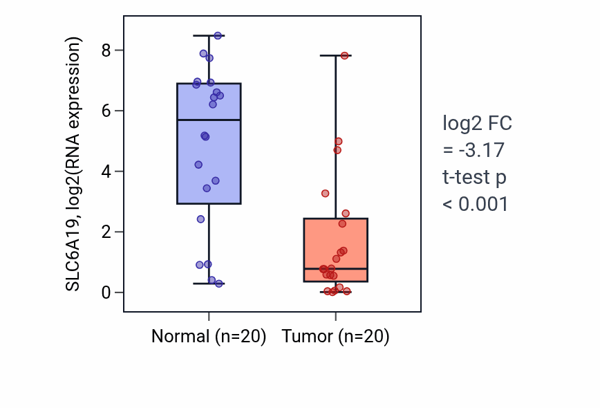 Tumor-vs-normal expression box plot for SLC6A19 RNA in KIRC.