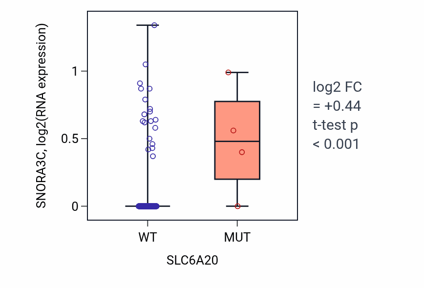 Box plot of SNORA3C in SLC6A20-low vs SLC6A20-high samples in CESC.